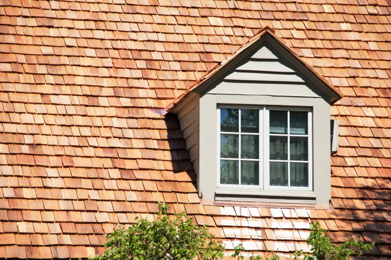 Cedar Lake Roofs